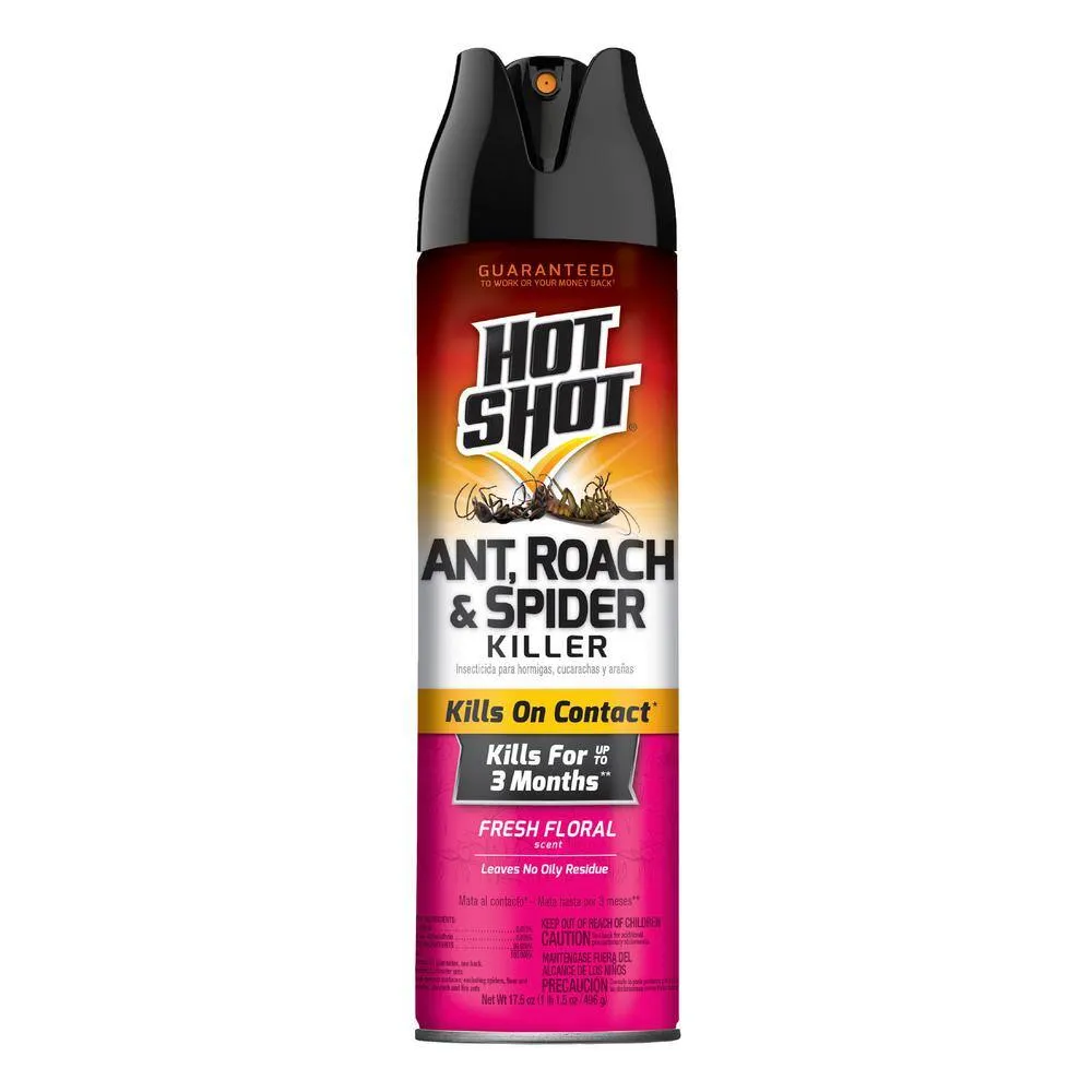 Hot Shot Ant Roach and Spider Killer aerosol product image