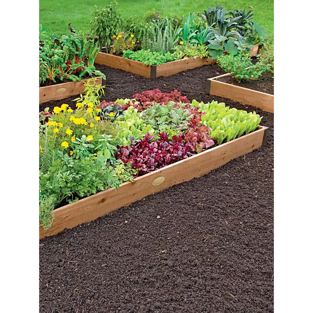 Gardener's Supply cedar raised bed kit two feet wide