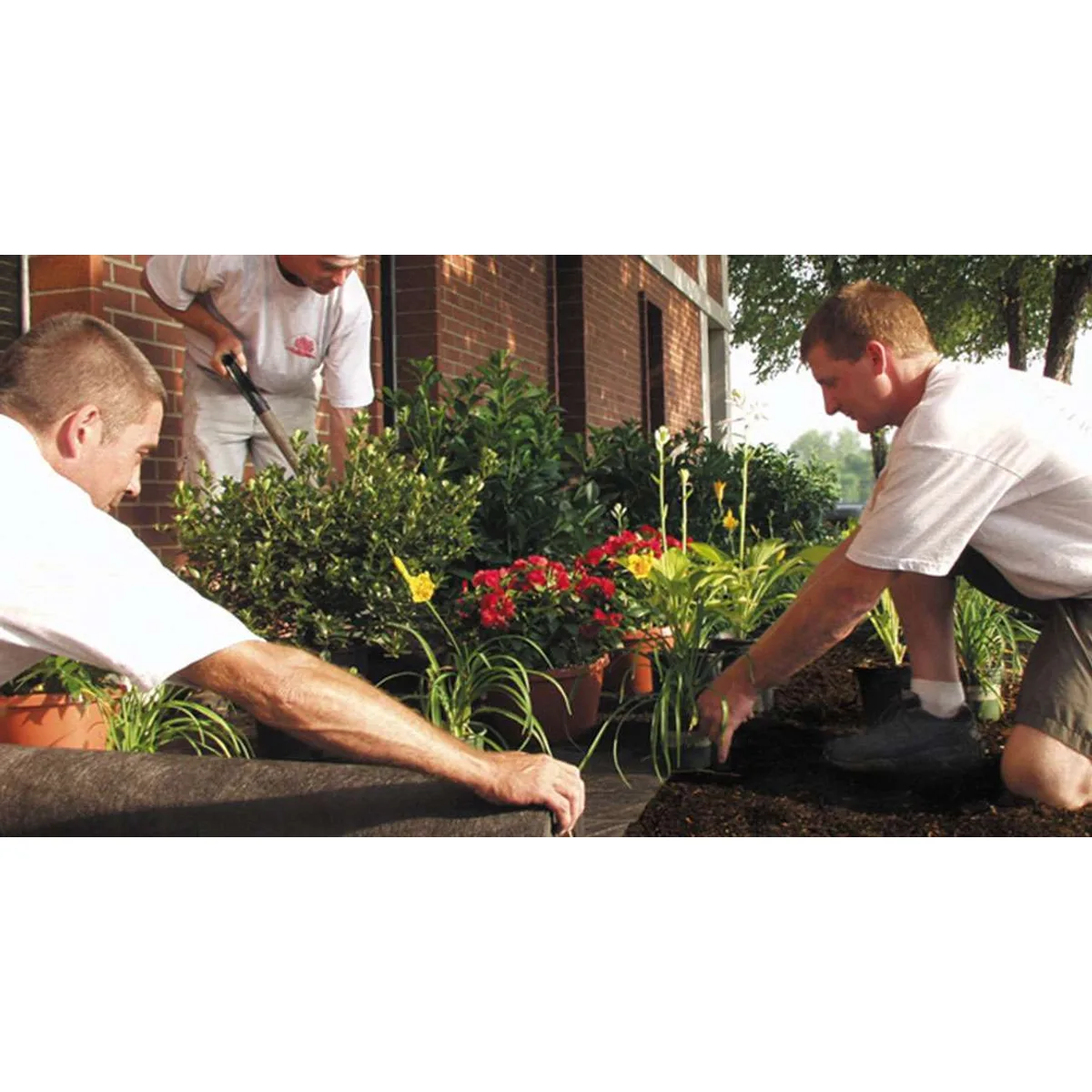 DeWitt frost blanket garden cover fabric