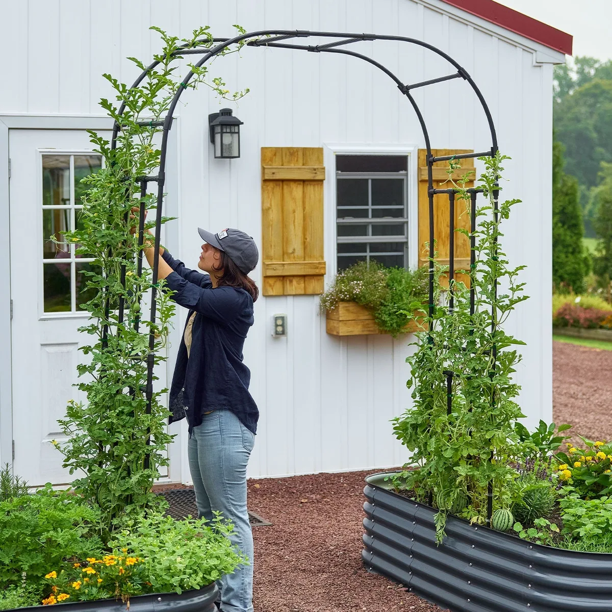 Burpee lightweight garden arch trellis