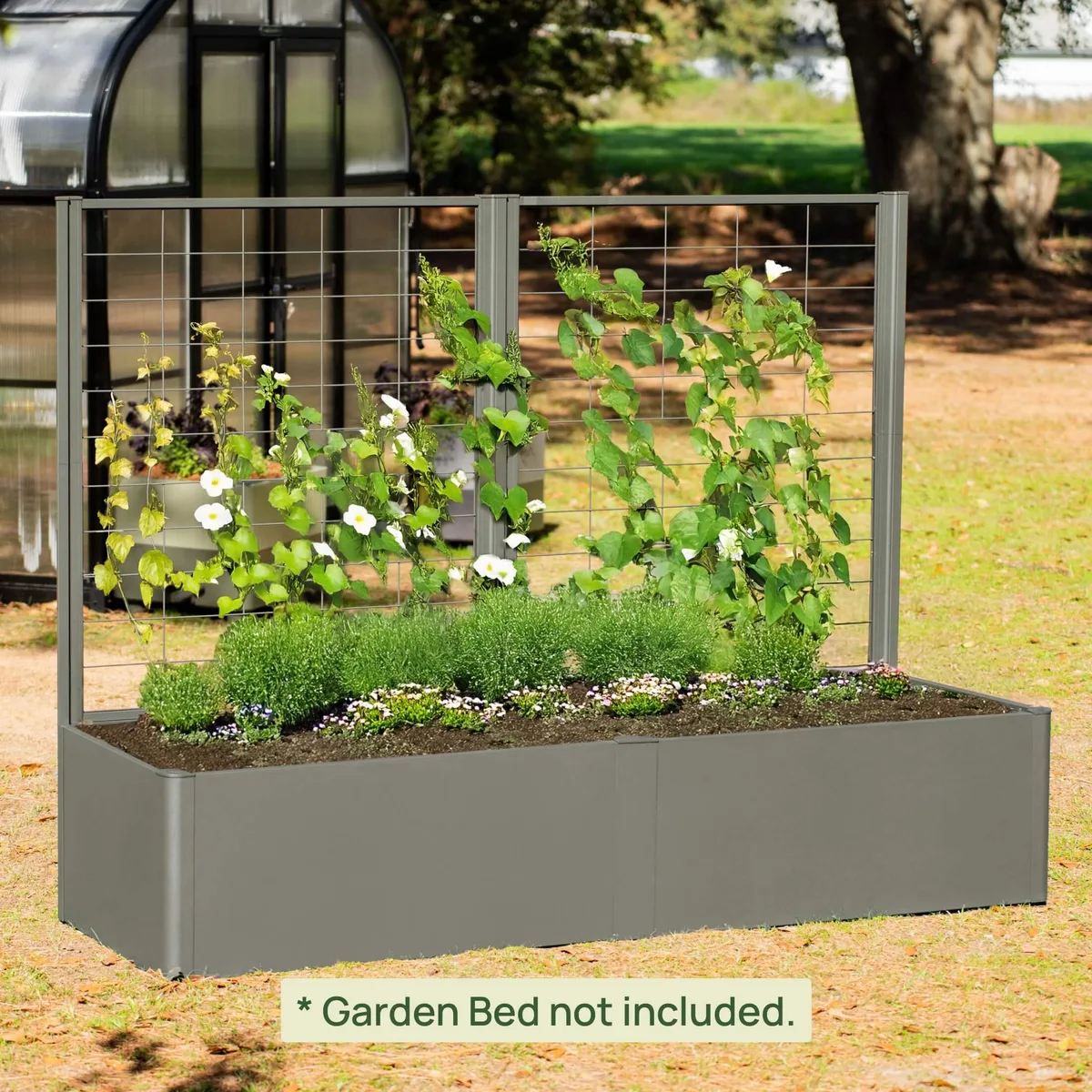 Featured image for Best trellises for raised garden beds: 7 support options